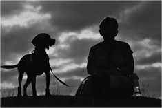 3rd My companion by Rob Andrew